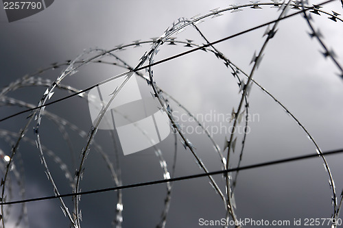 Image of barbed wire,