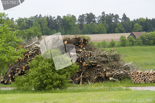 Image of firewood pile in rural ambiance