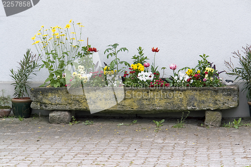 Image of manger and flowers