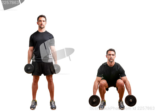 Image of Dumbbell Squat