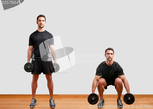 Image of Dumbbell Squat