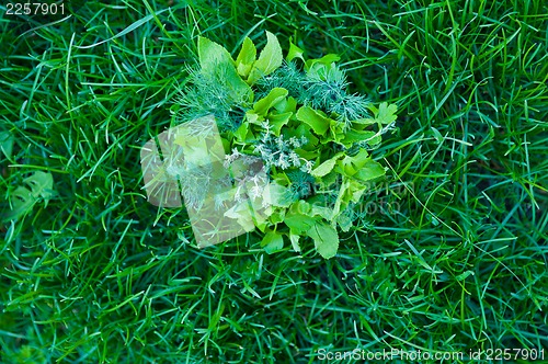 Image of food greens