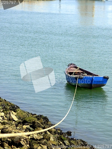 Image of Cockle-boat of fishes