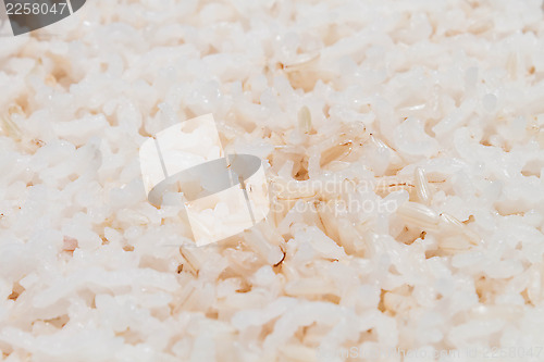 Image of Close up texture of cooked mix white and brown rice 