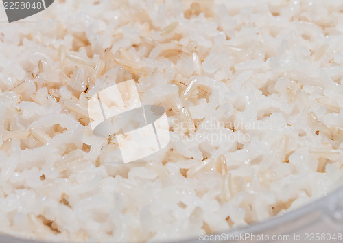 Image of Close up grain of cooked mix white and brown rice 