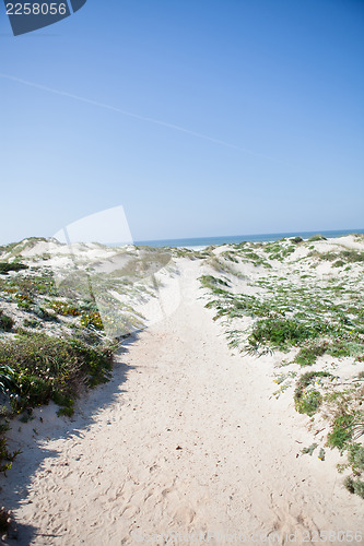 Image of Path to beach