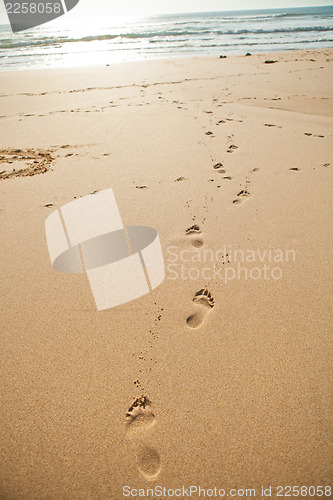 Image of Footprints in sand