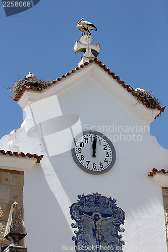 Image of Storch,Stork