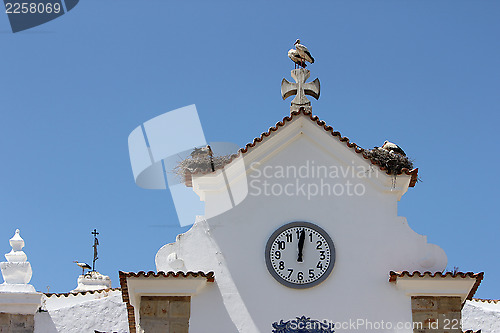 Image of Storch,Stork