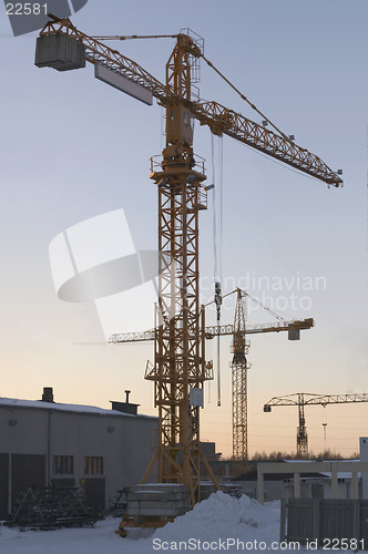 Image of Cranes