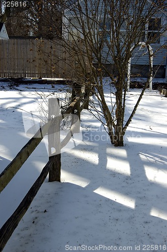 Image of Snow Flakes