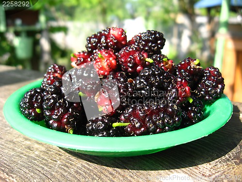 Image of ripe dark berries of a mulberry on a plate