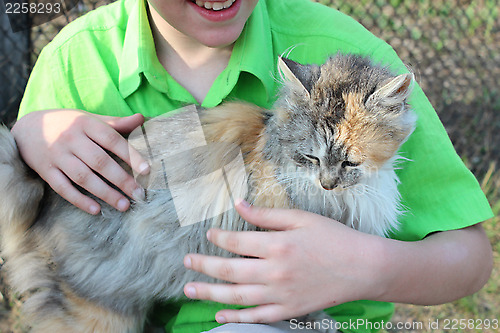 Image of different colors cat on children's hand