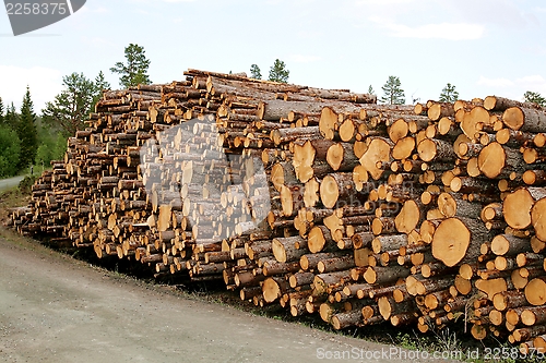 Image of Timber