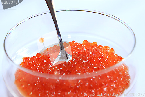 Image of red caviar in a plate with the spoon