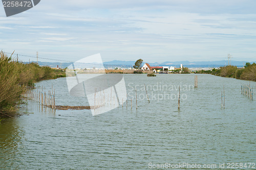 Image of Albufera landcape