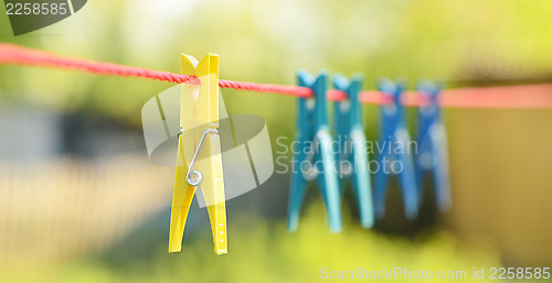 Image of clothes pegs