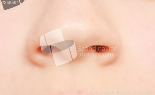 Image of human nose