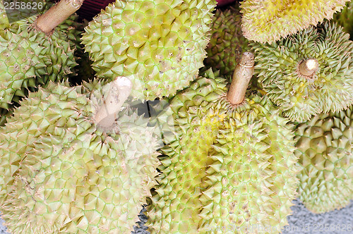 Image of Durian fruits in Thailand 