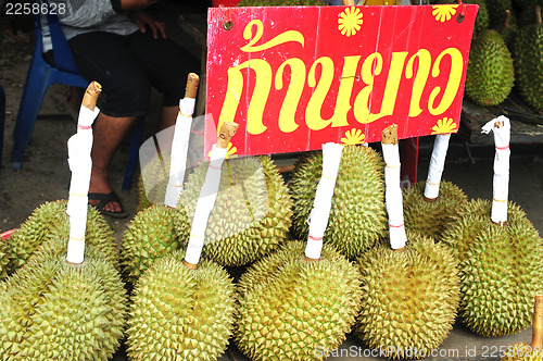 Image of Durian fruits in Thailand 