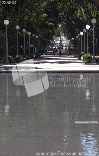 Image of Hyde Park, Sydney Australia