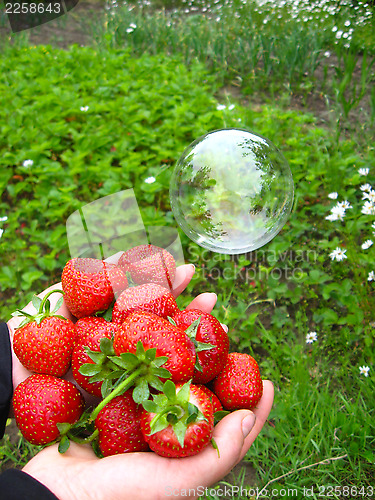 Image of Palms full of strawberries and soap bubble