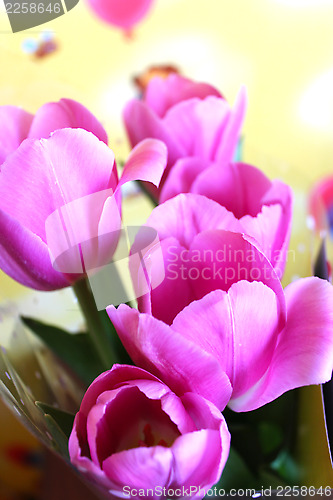 Image of bouquet from tulips for a holiday on march, 8th