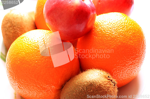 Image of orange, grapefruit, kiwi and apples