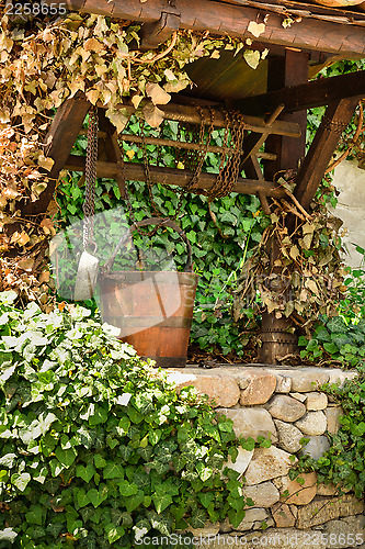 Image of Old water well and a wooden bucket among ivy leaves