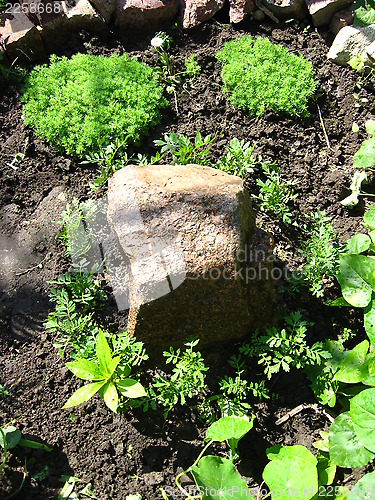 Image of front garden with grey big stone