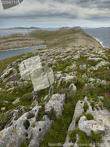 Image of Cloudy and windy morning