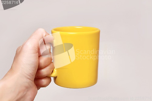 Image of Hand holding yellow mug
