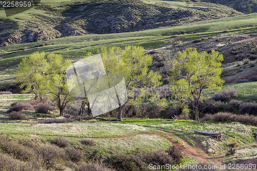 Image of mountain valley in Colorado