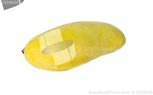 Image of Mango