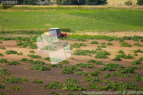 Image of Agriculture