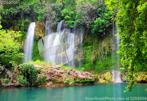 Image of waterfall in forest