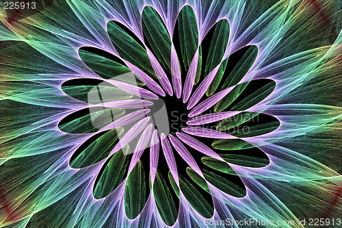 Image of Floral Explosion