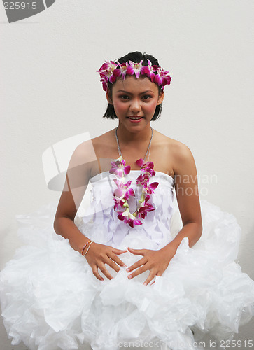 Image of Orchid princess