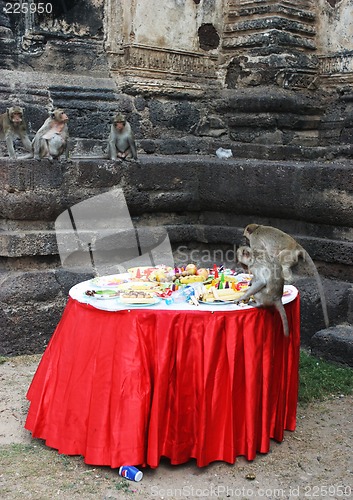 Image of Monkey feast