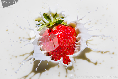 Image of Strawberry splash