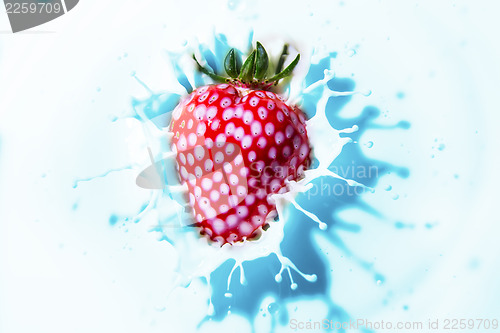 Image of Flash exposure strawberry