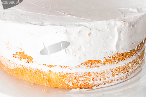 Image of Vanilla sponge cake decorate with whipped cream 
