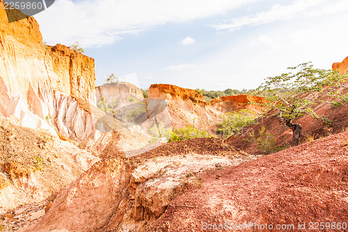 Image of Marafa Canyon - Kenya