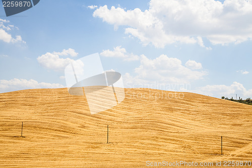 Image of Country in Tuscany