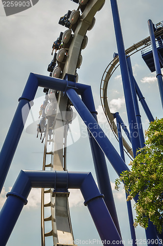 Image of A rollercoaster at a theme park in USA