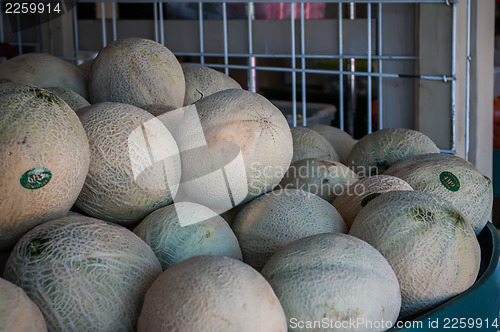 Image of Group of fresh ripe cantaloupe on display in produce market