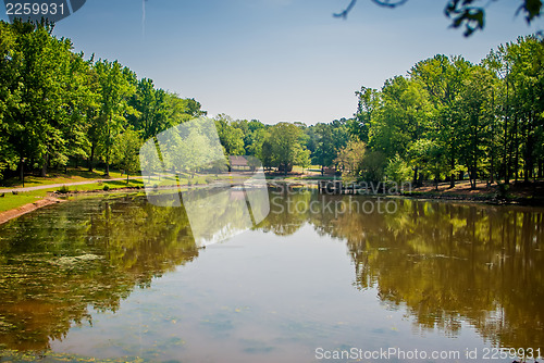 Image of beautiful day at a city park lake