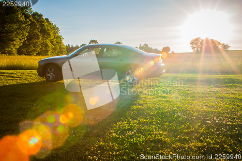 Image of spring field and   car on country road