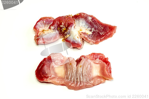 Image of chicken stomach
