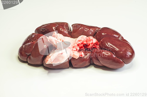 Image of kidney of a cow
